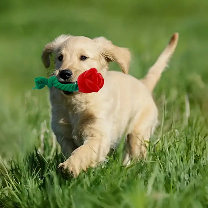 Plush Red Rose Flower Rope Tug Dog Toy