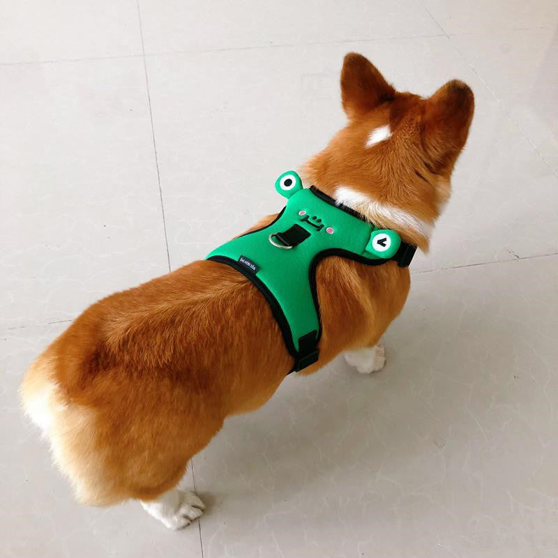 Dog''s chest and back with traction rope, dog''s back with