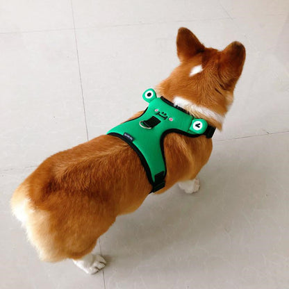 Dog''s chest and back with traction rope, dog''s back with