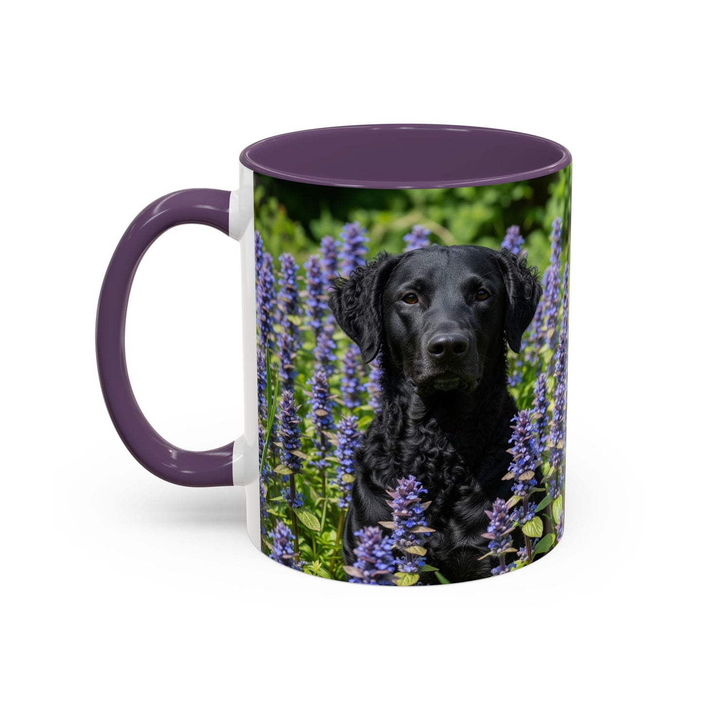 Curly Coated Retriever Accent Coffee Mug - Perfect Gift for