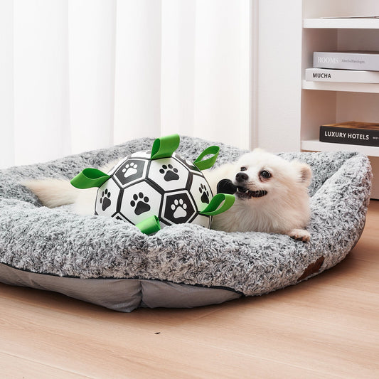 Interactive Football Ball Dog Toy