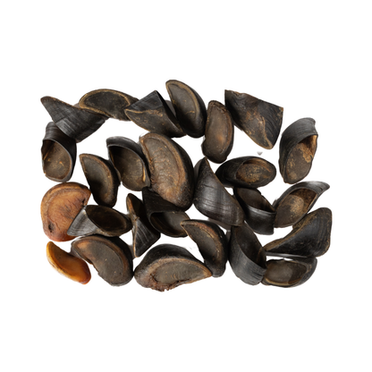 All-Natural Cow Hooves Dog Chews ? Premium Crunchy Treats