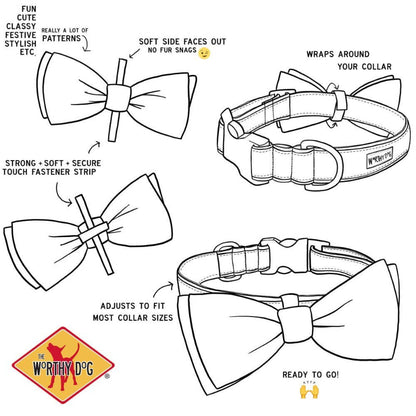 Bunnies & Carrots Mint Green Pet Bow Tie - 2 Sizes