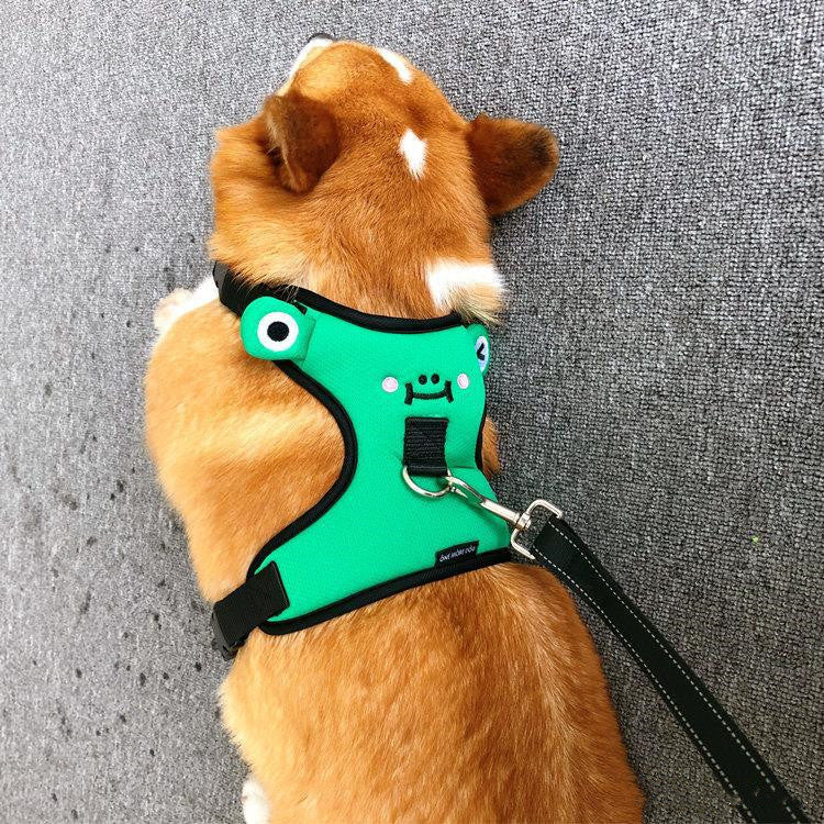 Dog''s chest and back with traction rope, dog''s back with