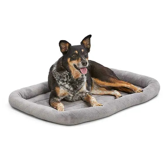Gray 36in Midwest Diamond Stitch Bed by The Family Pet, perfect for pets seeking comfort in a stylish rectangle design.