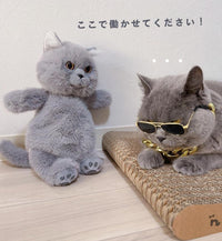 Russian Blue Cat Backpack ? Cat Lover?s Daily Bag