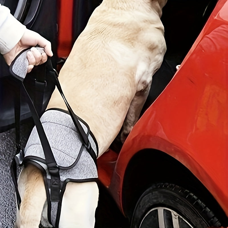 Recovery Support Harness - Help Your Dog Walk Again