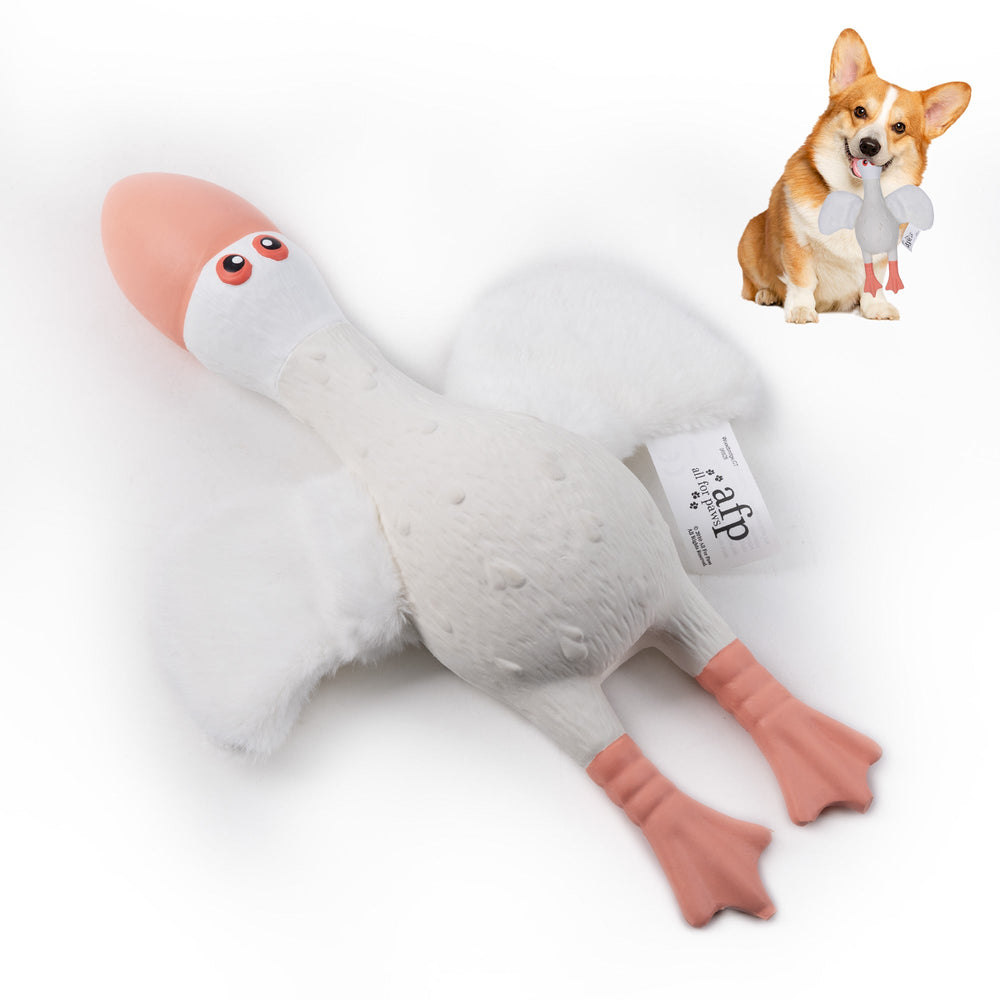 ZooTex - Squeaky Latex Dog Toys - Soft Wing Seagull