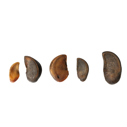 All-Natural Cow Hooves Dog Chews ? Premium Crunchy Treats