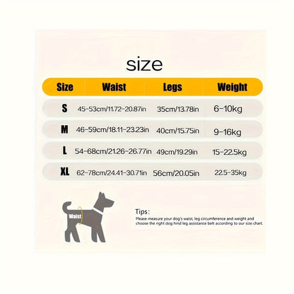 Recovery Support Harness - Help Your Dog Walk Again