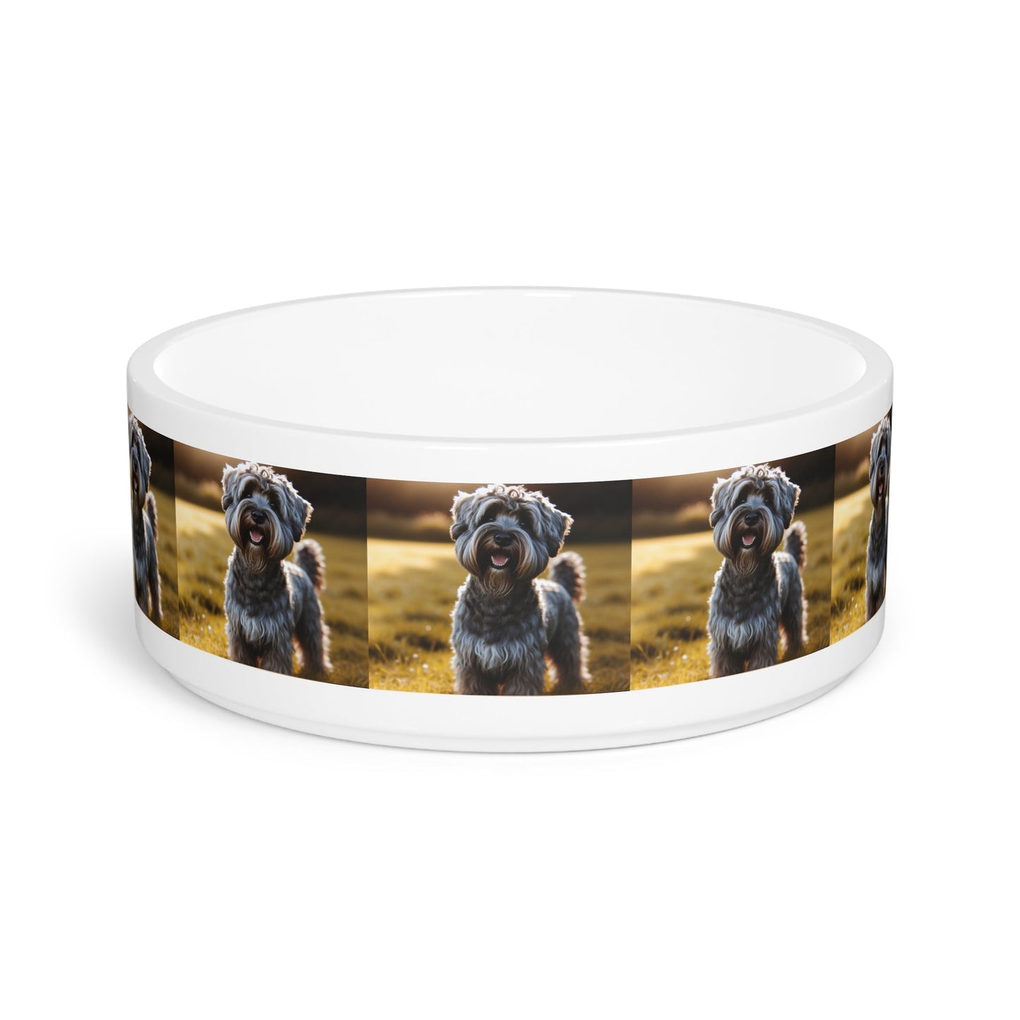 Cesky Terrier Dog Pet Bowl