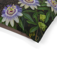 Spanish Water Dog Pet Bed