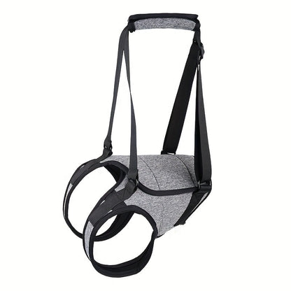 Recovery Support Harness - Help Your Dog Walk Again
