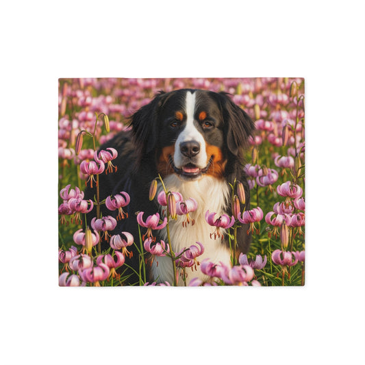 Bernese Mountain Dog Sweatshirt Blanket