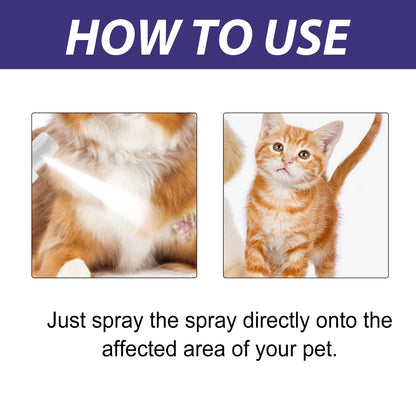 Pet Care Spray, Pet Cat And Dog Skin Wound Care Skin Moss