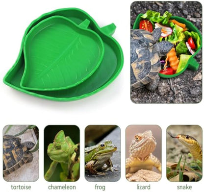 Leaf Reptile Food Bowl Set - Natural Terrarium Water Dishes