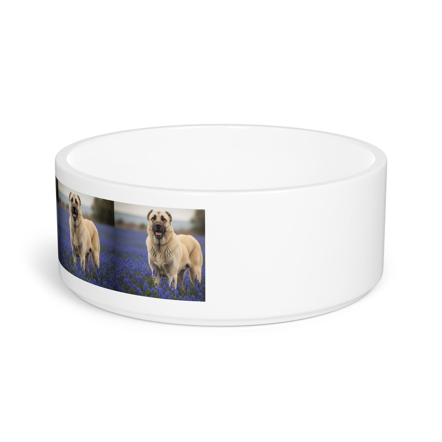 Kangal Shepherd Dog Pet Bowl