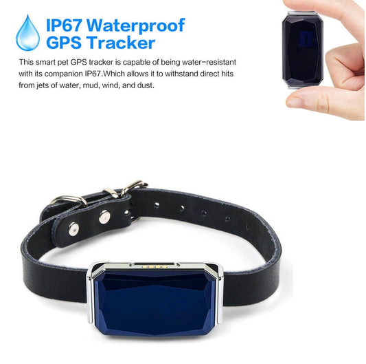 Purrfect Pet Kingdom waterproof GPS pet tracker with blue faceted unit and black leather collar with silver buckle.