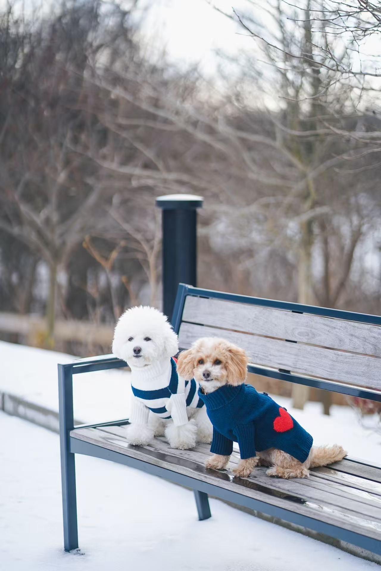 Heart to Heart Button - Up Cardigan Sweater - Dog Sweater - BarkBarkBaby