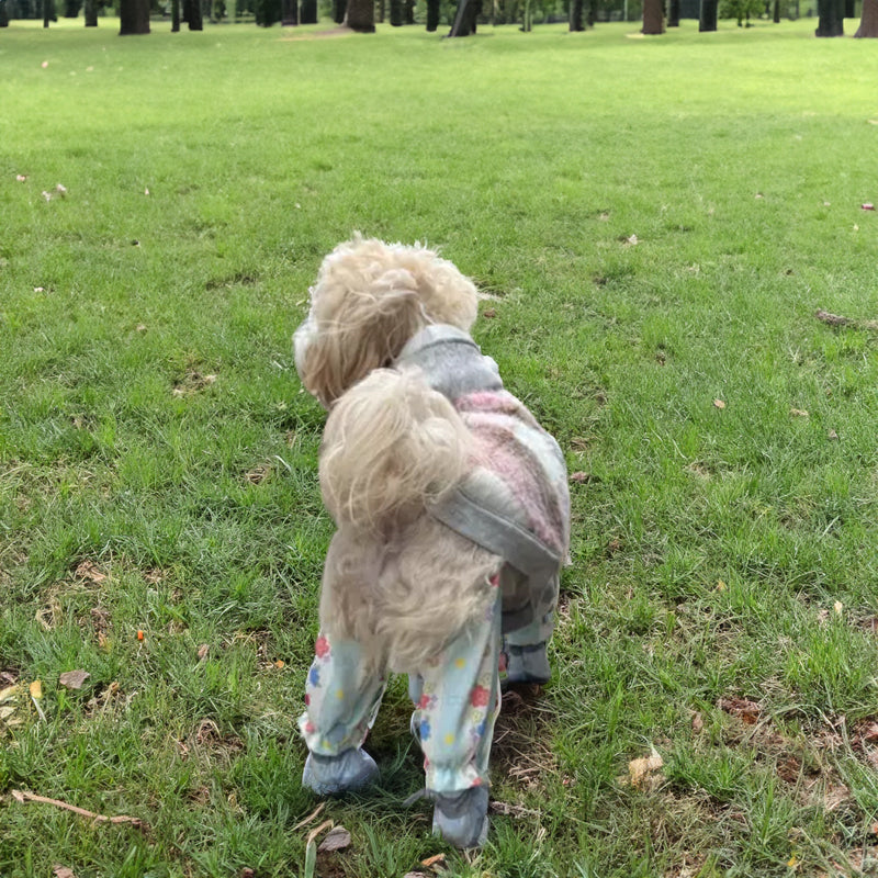 Pet Stroller, Dustproof Pants, Summer Jumpsuit, Leg - Protective Shoes/Trousers, Small Pet Wear - Purrfect Pet Kingdom