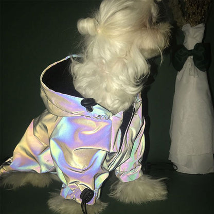 Reflective LED Dog Hoodie for Safe Night Walks and Visibili