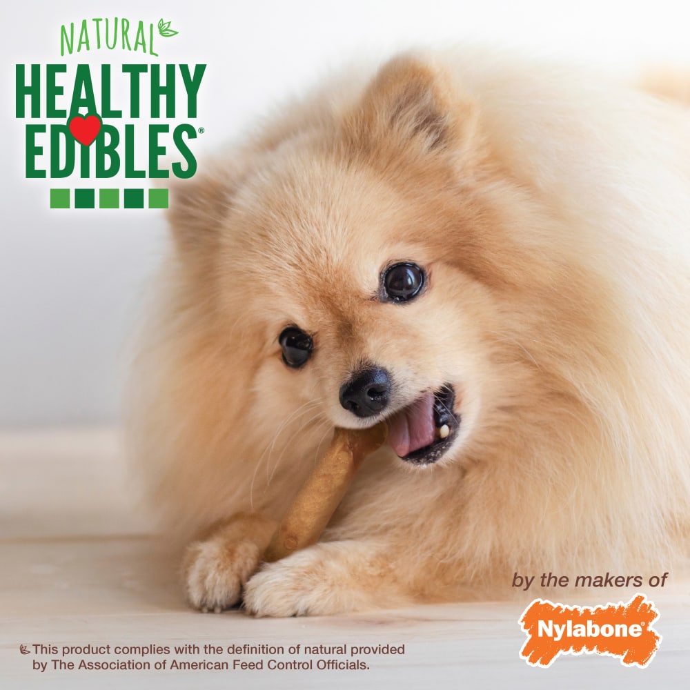 Dog Chew Treats - Nylabone Healthy Edibles Roast Beef 3pk 🦴