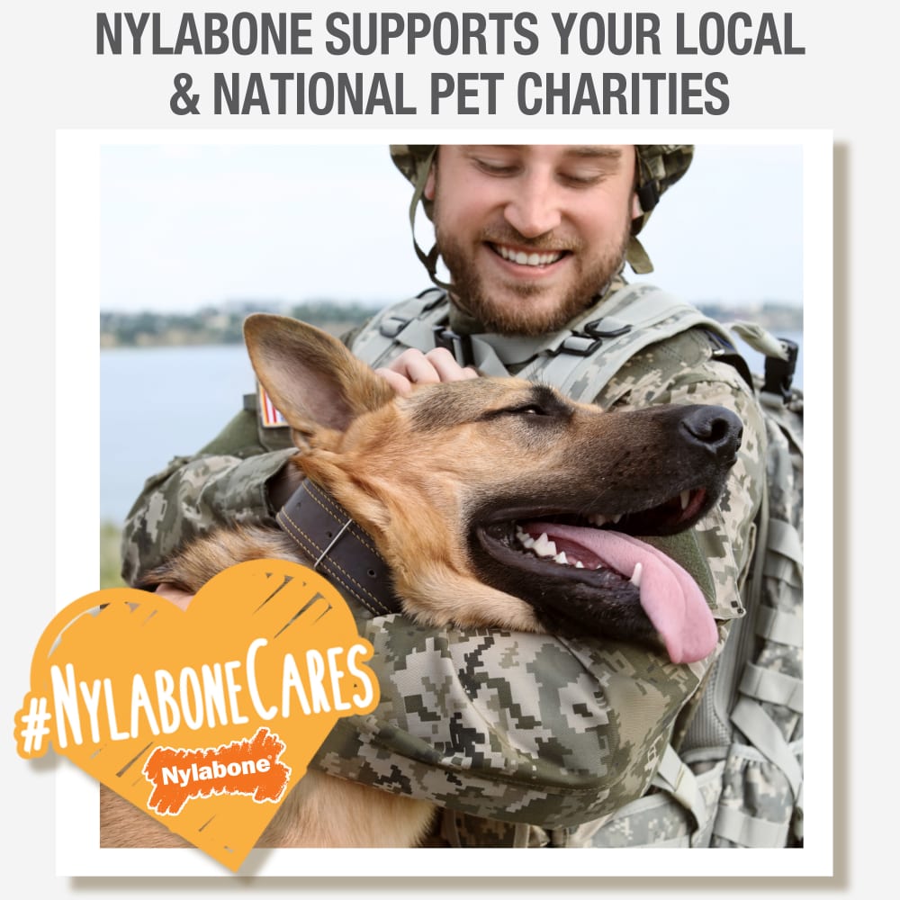 Dog Chew Treats - Nylabone Healthy Edibles Roast Beef 3pk 🦴