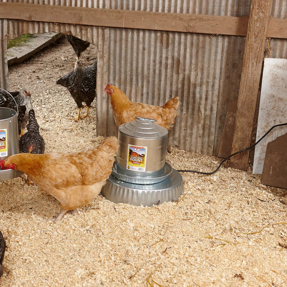 Little Giant Water Heater Base for Poultry 110W Freeze Prevention Metal Fount