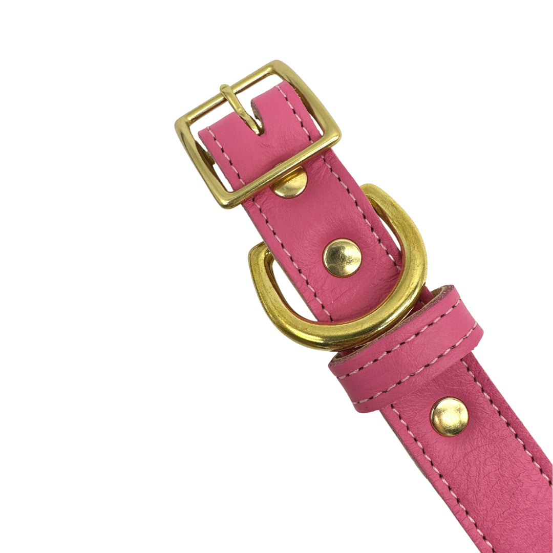 Plain Leather Dog Collar | Purrfect Pet Kingdom