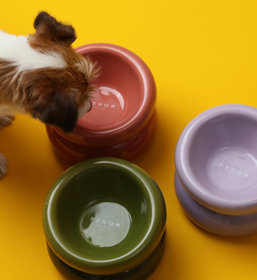 Ergonomic Imperial Purple Ceramic Pet Bowl for Cats and Dogs