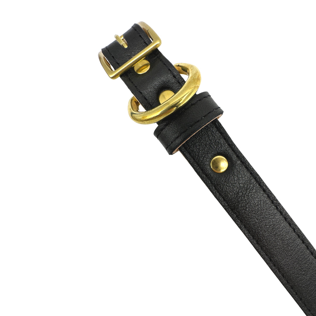 Plain Leather Dog Collar | Purrfect Pet Kingdom