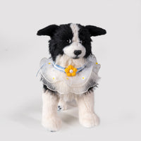 Blue Collar fits all for Cat Dog & Pet