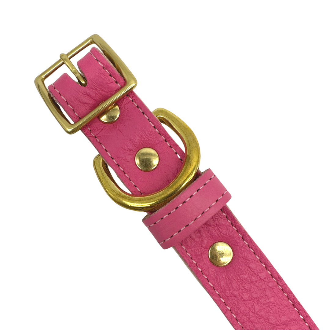 Plain Leather Dog Collar | Purrfect Pet Kingdom