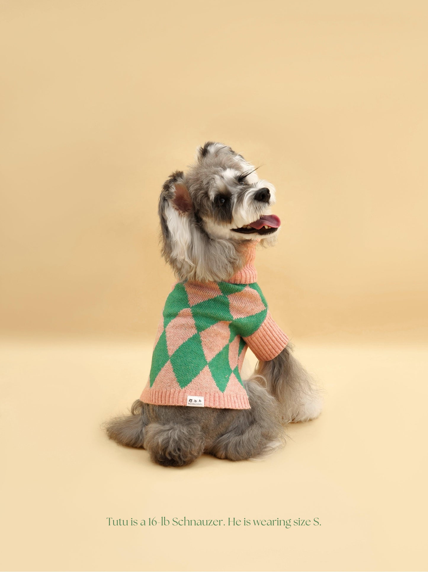 Sunday Brunch in Brooklyn Sweater - Dog Sweater - BarkBarkBaby