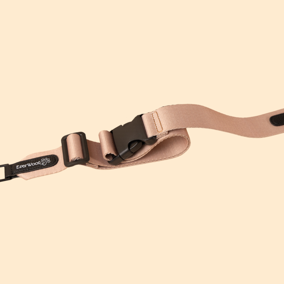 Walkie Bag Strap | Purrfect Pet Kingdom