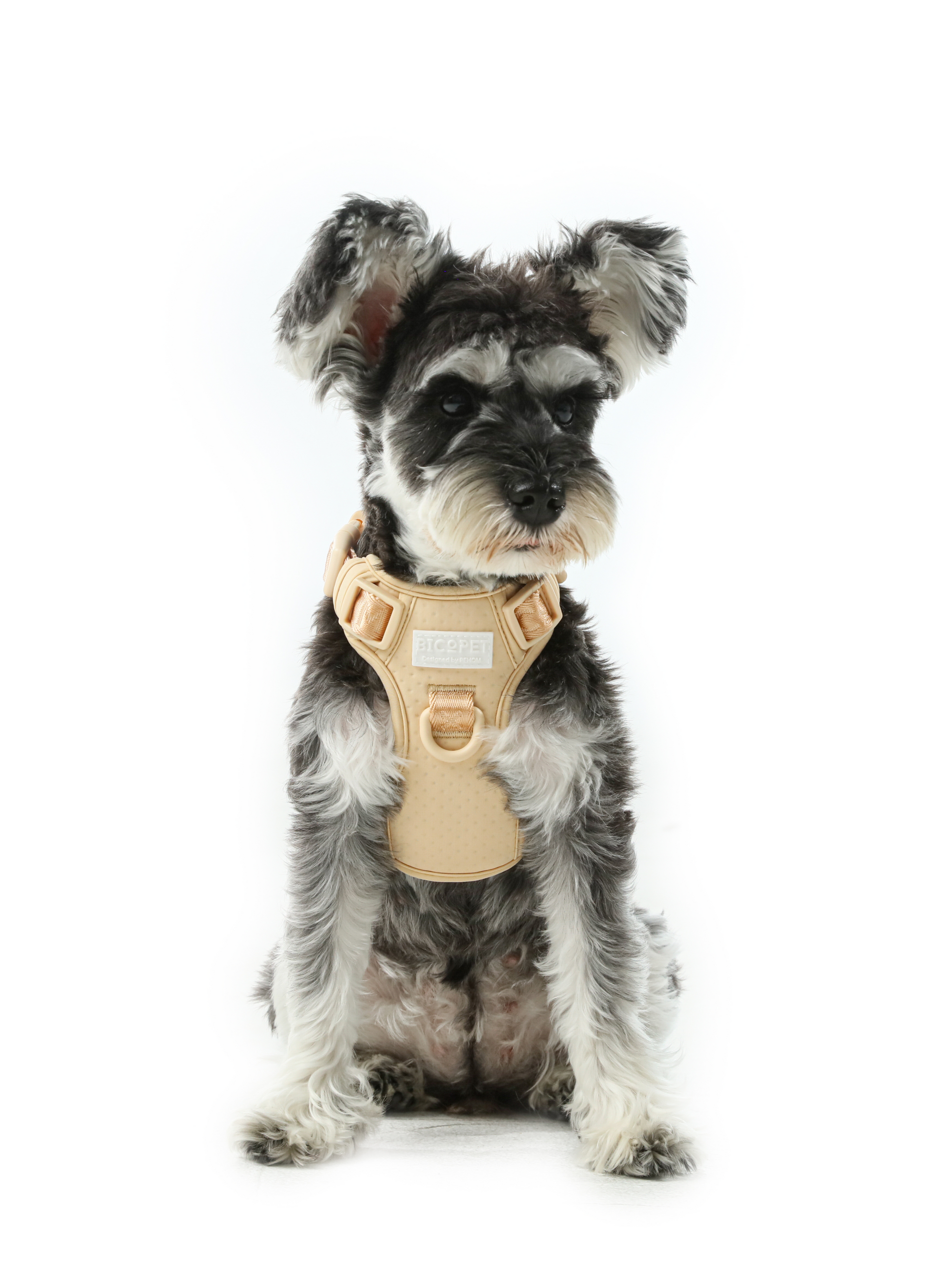 Apricot Reflective No-Pull Dog Harness for Comfort and Safe