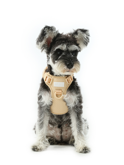 Apricot Reflective No-Pull Dog Harness for Comfort and Safe