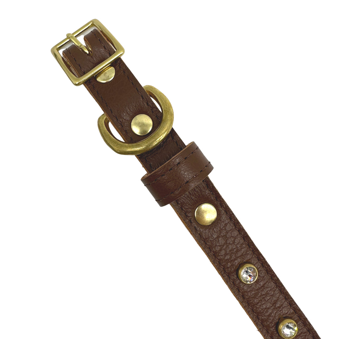 Plain Leather Dog Collar | Purrfect Pet Kingdom