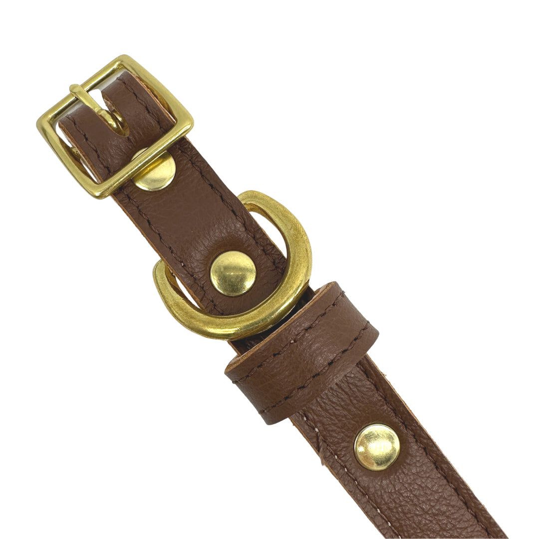 Plain Leather Dog Collar | Purrfect Pet Kingdom