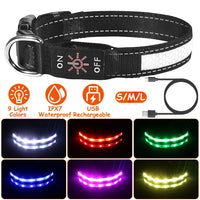 Light Up Dog Collar LED Dog Collar Safety Night Glowing Dog