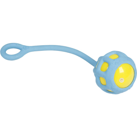 Pet Life ® Tug-O-Warp Fetching Tugging and Chew Toy