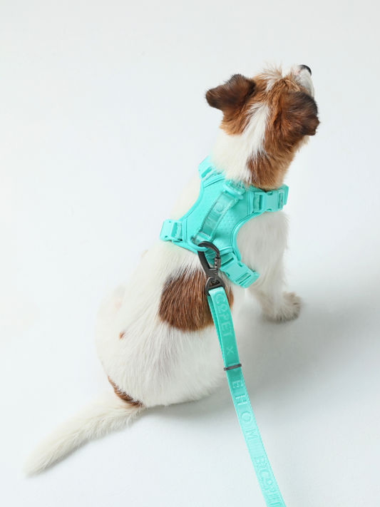 Mint Reflective No-Pull Dog Harness for Safe Daily Comfort
