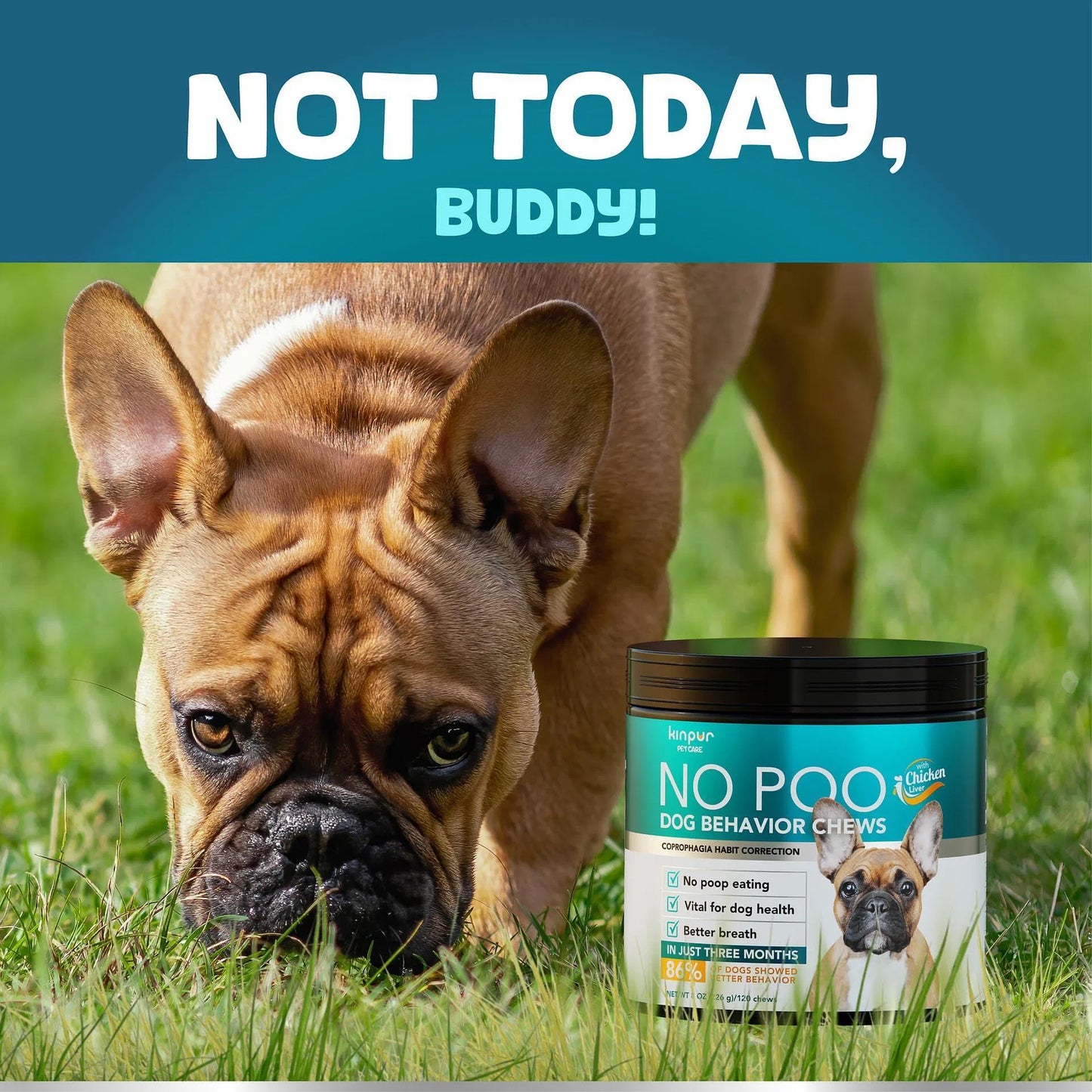 Dog No Poo Chews - Probiotic Supplement to Stop Stool Eating