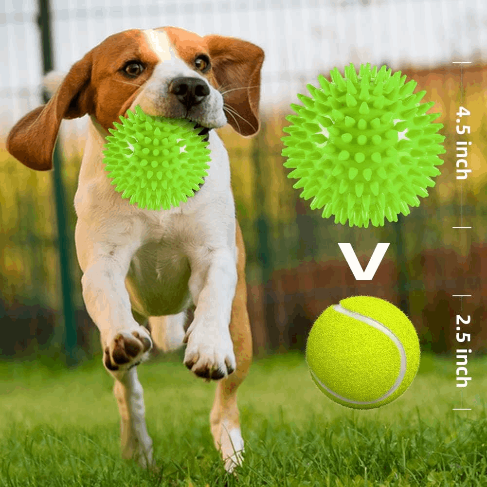 Dog Treats 2 5 Squeaky Interactive Dog Balls for Puppy Teeth