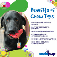 Cherry Pie Nylon Dog Chew Toy for Aggressive Chewers | USA Made | SodaPup