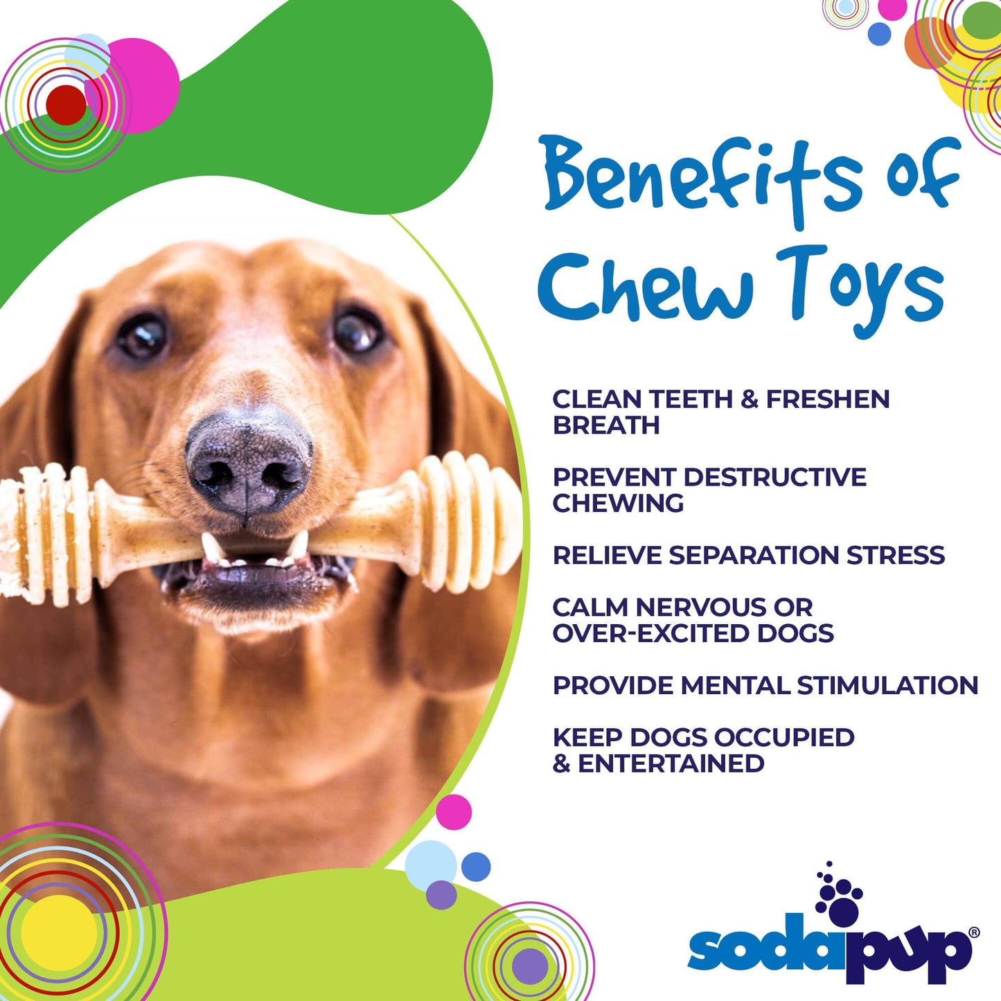 Honey Bone Nylon toy for Aggressive Chewers | Indestructible
