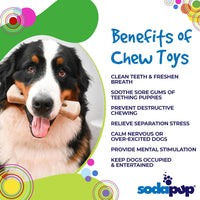 MOD Bone Nylon Dog Chew Toy for Aggressive Chewers | USA Made