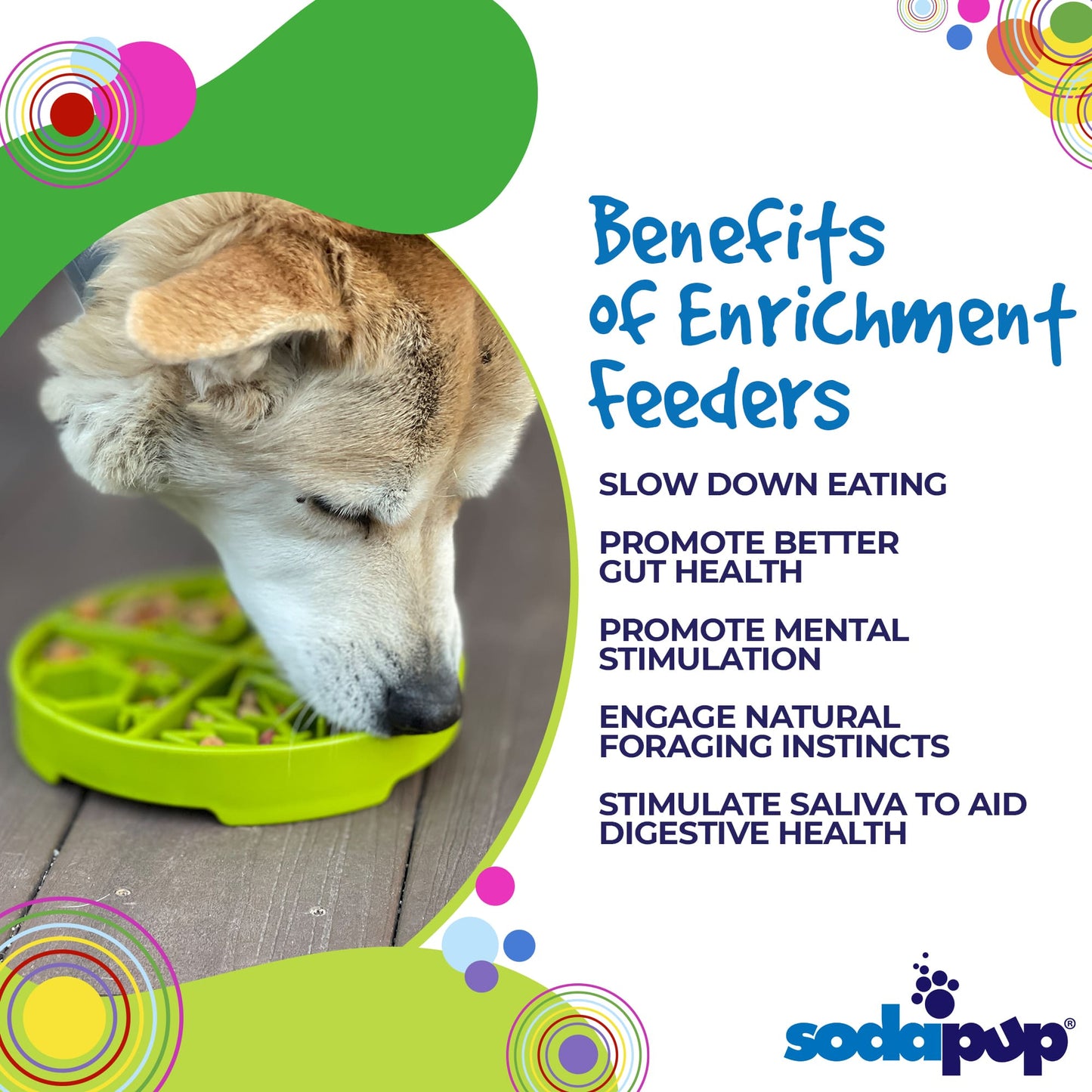 Four Seasons eTray - Shallow Slow Feeder Dog Bowl for Enrichment