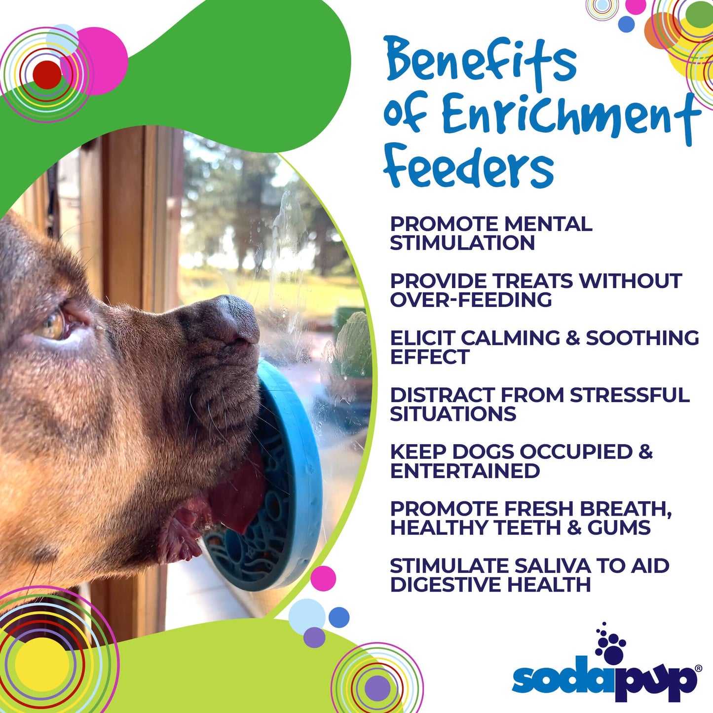 Turtle eMat-Mini Lick Mat with Suction Cups - Small Dogs & Cats |