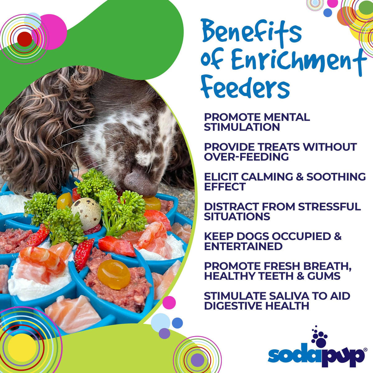 Mandala Etray Shallow Slow Feeder Dog Bowl For Enrichment - gallery image 8